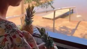 آشپزخانه ای در دل جنگل