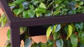 میزی که تبدیل به گلدان میشود