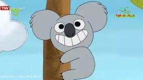 کارتون خرس های کله فندقی - مدیریت خشم