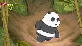 خرس های کله فندقی