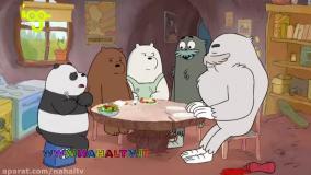 خرس های کله فندقی