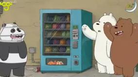 خرس های کله فندقی - سیم کشی