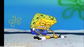 خرس های کله فندقی جدید