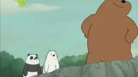 خرس های کله فندقی | خرس های کله فندقی