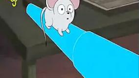 خرس های کله فندقی