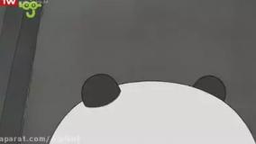 کارتون خرس های کله فندقی - بچه خرس ها در هواپیما