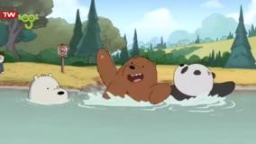 کارتون خرس های کله فندقی انفولانزای خرسی