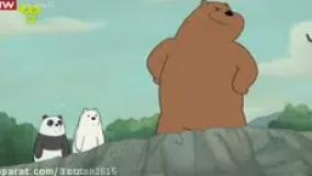 خرس های کله فندقی / زندگی ابتدایی