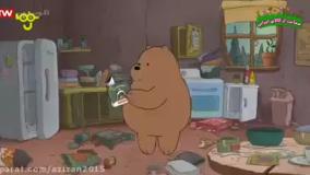 خرس های کله فندقی | خرس های کله فندقی