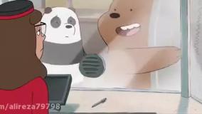 خرس های کله فندقی جدید خرس های کله فندقی