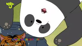 خرس های کله فندقی-کت مخصوص