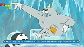 خرس های کله فندقی - غار یخی