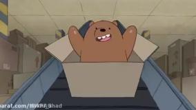 خرس های کله فندقی