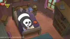 خرس های کله فندقی | خرس های کله فندقی