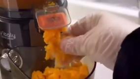 آبمیوه گیری فکر مدل VITALY