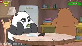 خرس های کله فندقی - پرمیز غذایی