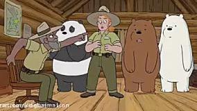 خرس های کله فندقی طولانی