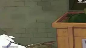 خرس های کله فندقی | خرس های کله فندقی