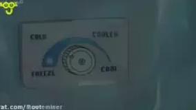 خرس های کله فندقی