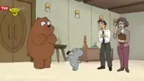 خرس های کله فندقی جزیره