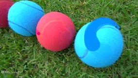 دیانا و روما / دیانا و روما / بازی های دیانا و روما / دیانا شو / دیانا و روما