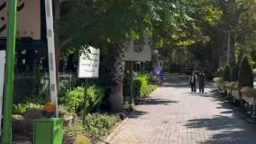 محله امیرآباد