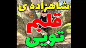 کلیپ تبریک تولد پسر زیبا