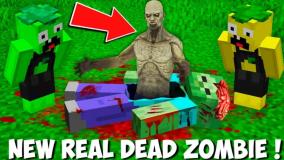 زامبی زامبی شد ؟ لیمو ؟ ماینکرفت!! ماینکرفت ماین کرافت ماین کرفت Minecraft