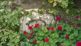 داریوش سریال - سریال داریوش / فیلم داریوش / داریوش فیلم