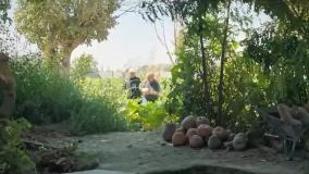 اجل معلق قسمت ۵ / فیلم اجل معلق قسمت پنجم