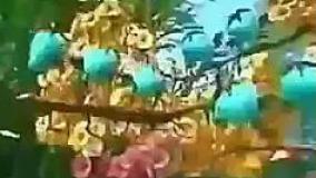 اهنگ تولدت مبارک به انگلیسی | آهنگ Happy birthday to you