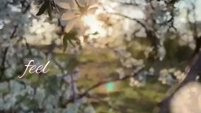 کلیپ تبریک تولد لاکچری خارجی