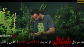 شغال قسمت ۴ / چهارم / سریال ایرانی شغال
