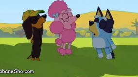 دانلود کارتون زبان انگلیسی بلویی Bluey - سایت دوزبانه شو