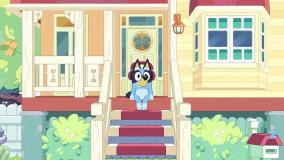 دانلود کارتون Bluey (انیمیشن انگلیسی بلویی)  - www.all4kids.ir