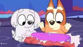 کارتون بلوئی| این قسمت بسته| کارتون جذاب کودک |برنامه کودک و نوجوان