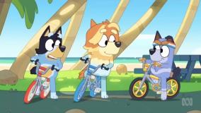 کارتون بلوئی |داستان های خانوادگی| کارتون جذاب کودک |برنامه کودک و نوجوان