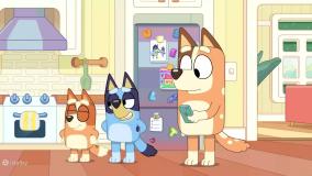 کارتون جذاب کودک بلوئی| برنامه کودک و نوجوان