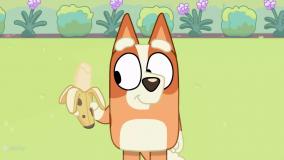 کارتون بلوئی| کارتون جذاب کودک |برنامه کودک و نوجوان