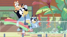 بلویی زبان اصلی: استخر