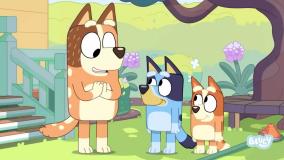 سریال بلویی - فصل ۳ قسمت ۳ : "کورس موانع"