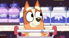 کارتون بلوئی| بلوئی و بینگو به خرید می روند| کارتون کودک |برنامه کودک و نوجوان