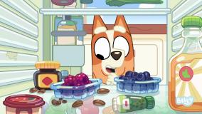 بلویی - فصل ۲ قسمت ۹ : بینگو