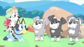 Bluey کارتون بلویی - داستان سرایی - انیمیشن آموزش زبان انگلیسی کودکان