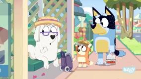 سریال بلویی - فصل ۳ قسمت ۹ : "ماجراجویی"