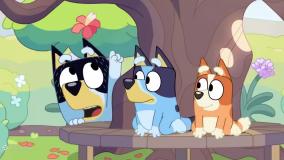 بلویی جدید/بلویی قسمت جدید/کارتون جدید بلویی/بلویی