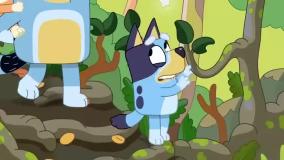 کارتون جذاب بلویی  / انیمیشن های جدید