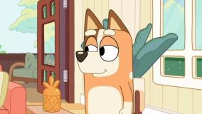 کارتون بلوئی| بازی با بلوئی و بینگو| کارتون جذاب کودک |برنامه کودک و نوجوان