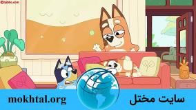 انیمیشن بلویی | کارتون بلویی