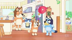 کارتون بلوییbluey زبان اصلی-قسمت اول